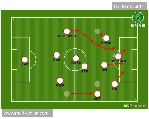 杭州排球队最新战术解析排球战术TOP10全面解读